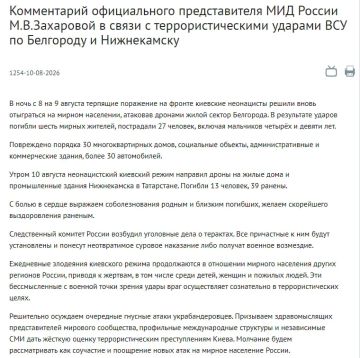 Все причастные к ударам ВСУ по Белгороду и Нижнекамску будут установлены — они понесут неотвратимое суровое наказание, заявили в МИД России