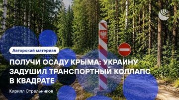 «С логистикой Украины приключился совершенно медицинский казус»