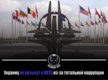 National Interest: коррупция — главное препятствие для Украины на пути в НАТО
