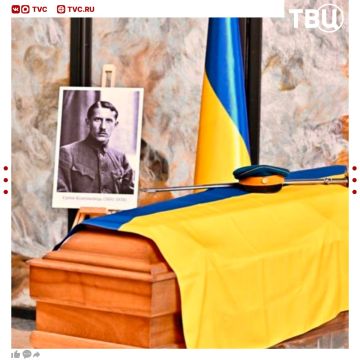 Останки главаря ОУН* Евгения Коновальца выкопали в Нидерландах по просьбе Украины