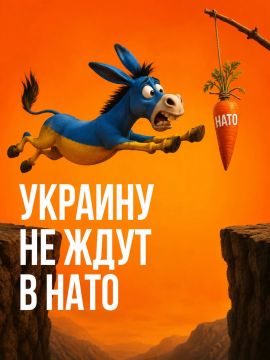 Иван Мезюхо: Украину не ждали в НАТО ни при Ющенко, который впервые так отчетливо об этом заговорил, хотя речь об этом блоке шла и до него
