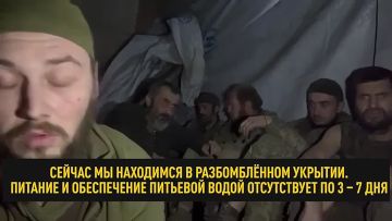 ����� ���� ����, ����� �������