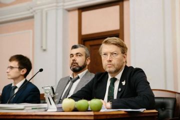 Евгений Лисицын: Верховный Суд РФ снял партию "Яблоко" с выборов в Госдуму по иску "Родины"