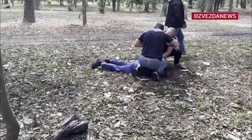 � ������, ������!. � ����� ������! ����� ���������� �������, ������� �� ������� ����� ����� ����� ������� ���������� ������ � ������������� ����. � �������� 2025 ���� ������������� ��� ����� �� ����� � �����������...