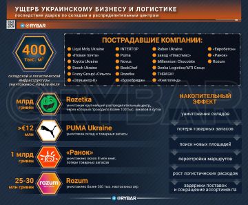 Миллиарды в огне. В украинском сегменте радость прилетам по складам Wildberries сменилась грустью от более мощных ударов ВС РФ по логистическим мощностям