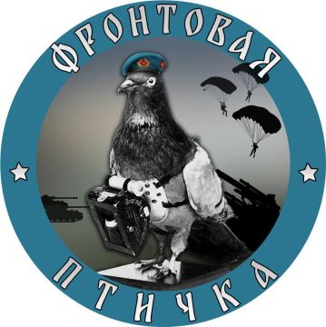 ФРОНТОВАЯ ПТИЧКА С ПЕРВОГО ДНЯ НА СВО