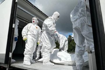 Россия передала Украине 261 тело погибших ВСУШников