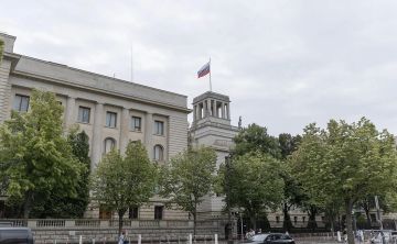 Россия рассмотрит правовые меры в отношении журналиста FAZ Михаэля Мартенса
