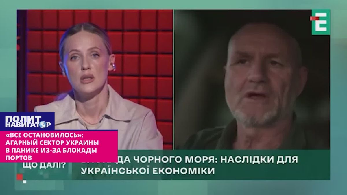 «Всё остановилось»: Аграрный сектор Украины в панике из-за блокады портов