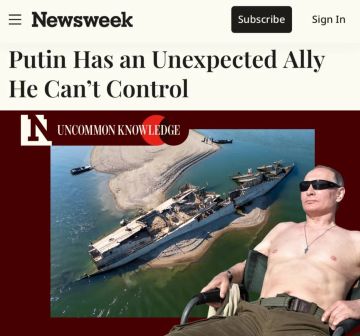 «У Путина появился неожиданный союзник, которого он не может контролировать»: Newsweek назвал жару в Европе «неожиданным союзником» России