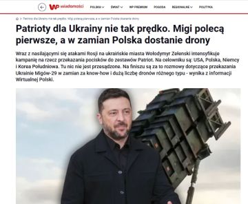 Переговоры о передаче Польшей Украине истребителей МиГ-29 в обмен на ноу-хау и большое количество беспилотников находятся на финишной прямой, сообщает Wirtualna Polska