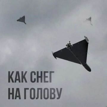 �������� ������ ������ ����� ����� ���������� ������ � �������