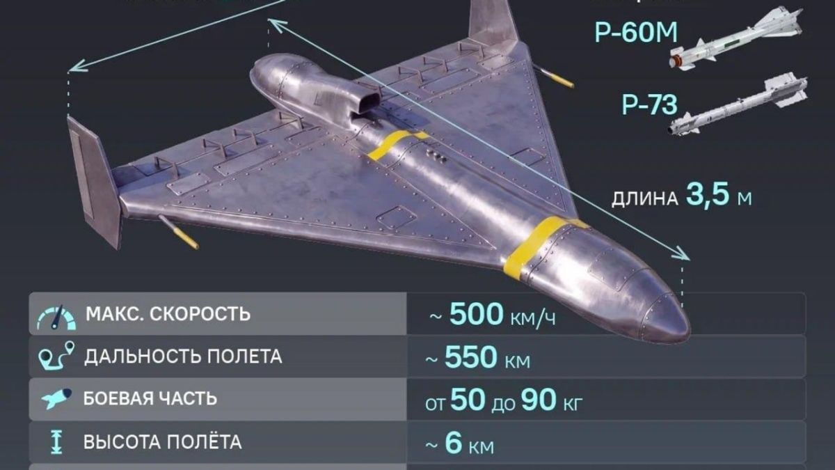 В Киеве обеспокоены появлением новых реактивных «Гераней»