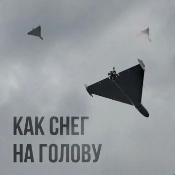 ������ ��� ����� "���������"�