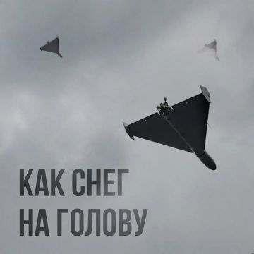 ����� ��� ����� ����������