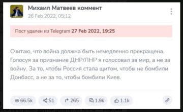 Юлия Витязева: Би-би-си*: Если бы вы знали, как будут развиваться события, вы бы по-другому проголосовали за договор о дружбе с ЛНР и ДНР?