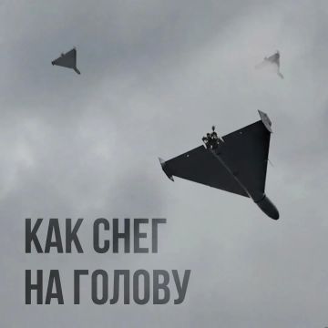 Анатолий Кузичев: Я думаю, все заметили, что наши удары по Украине интенсифицировались