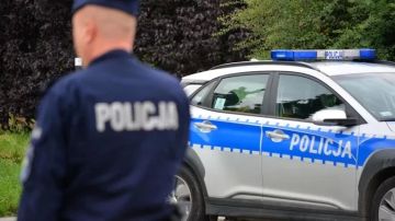 В Польше женщины бросаются на украинских мужчин! Но есть нюанс