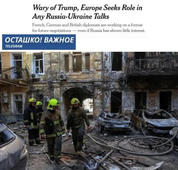 NYT: Европа подталкивает Трампа к переговорам с Москвой, опасаясь тяжёлой зимы для Украины
