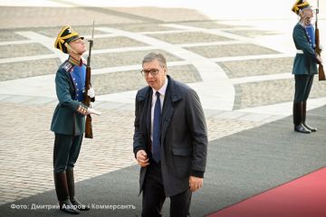 Спустя без малого неделю после визита украинского президента Владимира Зеленского в Белград последовала официальная реакция на него Москвы, причем с весьма высокого уровня