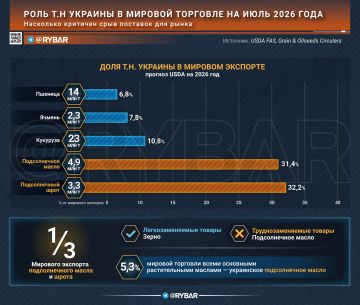Украинский агроэкспорт и мировой рынок