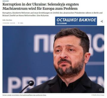 Berliner Zeitung: коррупция в окружении Зеленского бьёт по доверию ЕС