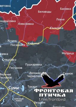 Сумское направление. Успехи ВС РФ