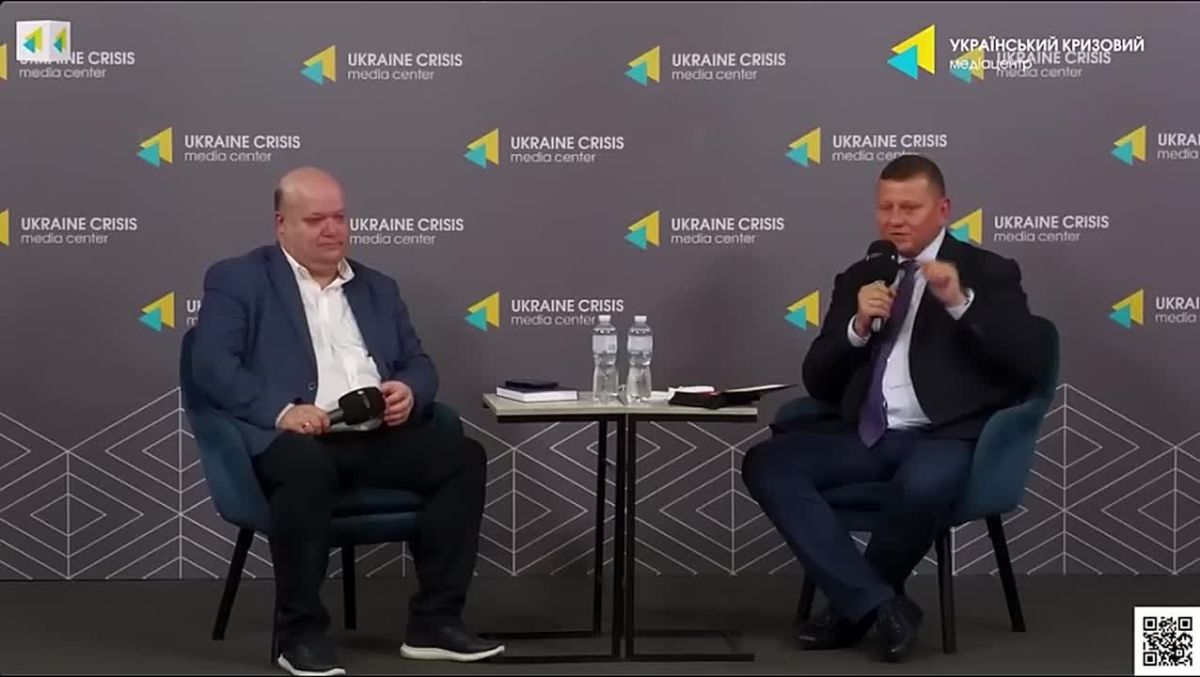 Владимир Рогов: Образ будущего от Залужного - тотальная война на 50 лет