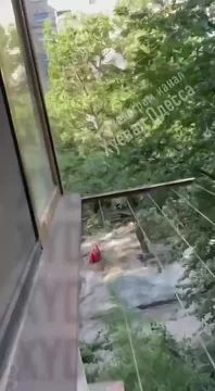 Владимир Рогов: Одесса - русский город. Это в очередной раз подтвердили местные подростки