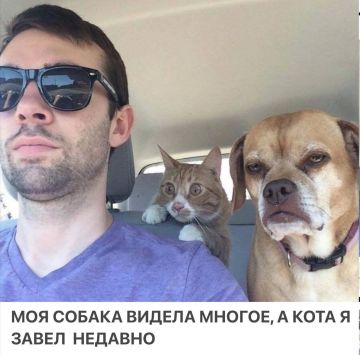 Доброе утро, Киев!. Доброе утро, подписчики! Отношение к трудностям и ударам судьбы зависит от жизненного опыта
