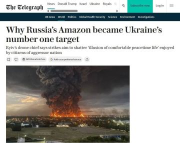Алексей Журавлев: Украина бьет по складам Wildberries, чтобы русские стали жить хуже и повлияли на Путина – The Telegraph