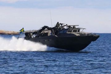 Украина завершила формирование дивизиона ударных катеров CB90