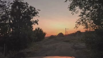 ������� ������ �� ������� ���� ����������� ������� ������ ���