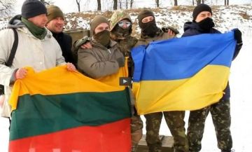 Участники «литовского легиона» ВСУ получают награды после возвращения домой