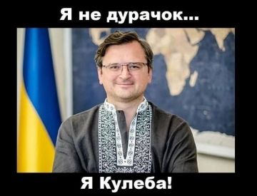Благодаря моей мотивирующей фразе о том, что "украинцы будут сражаться даже лопатами", Украине предоставили оружие, — бывший глава МИД Украины Кулеба