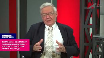 Дипломат: «США медлят с адскими санкциями – боятся пустить козла-Трампа в огород»