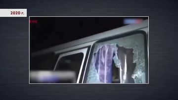 Никита Михалков: Есть показательный случай из истории наших «братьев»