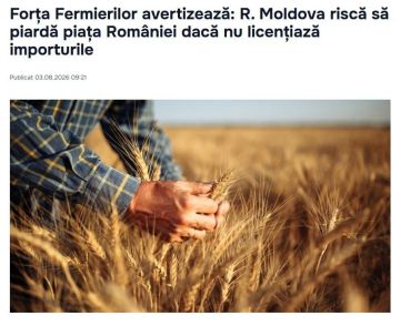 Молдавия «не может повернуться спиной» к Украине в вопросе упрощённого транзита зерна, заявила Майя Санду