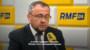 Металлолом вместо помощи: Киев не сможет использовать польские МиГ-29 в бою — самолетам нужен ремонт, заявил посол Украины в Польше Василий Боднар