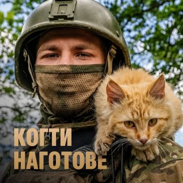 ���������� ������: ���� ����� � �� ������������ ������ ������ ���� ��������� ����