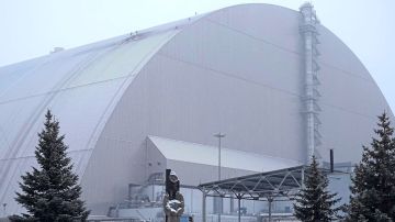 Раскрыта тайна визита министра окружающей среды ФРГ Шнайдера в Киев: товарищ поехал обрадовать очередным траншем