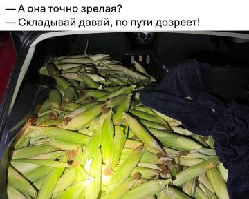 � �������� ������ �������� ������ 300 �� ��������