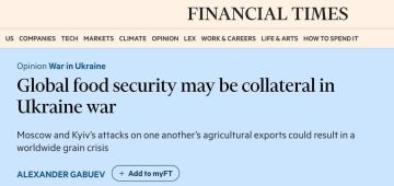 Атаки Украины и России на сельскохозяйственную инфраструктуру друг друга могут привести к мировому зерновому кризису, — Bloomberg