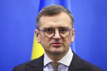 Бывший Кулеба иностранных дел разгоняет зраду