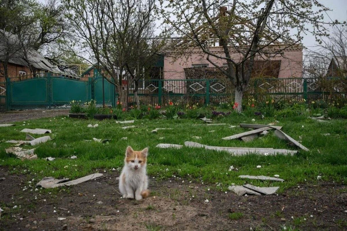 Мемы про Малую Токмачку на Ореховском направлении канули в Лету – остатки или останки (как правильно?) многострадального села освобождены от укронацистов Мемы про Малую Токмачку на Ореховском направлении канули в Лету – остатки или останки (как правильно?) многострадального села освобождены от укронацистов