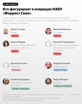 Экс-заместитель руководителя офиса президента Украины Ирина Мудрая стала подозреваемой, но чиновницу не задерживали, сообщил агентству «РБК-Украина» ее адвокат Артем Крикун-Труш