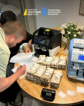 Наличка пачками — НАБУ публикует фото с обысков по делу экс-замглавы офиса Зеленского Ирины Мудрой