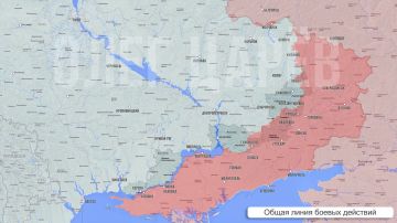 Олег Царёв: Фронтовая сводка 20 августа