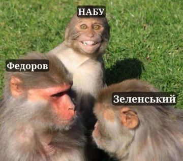 Внутренний фронт против Зеленского