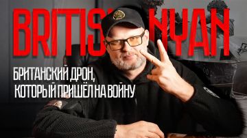 Евгений Лисицын: BRITISH NYAN: БРИТАНСКИЙ ДРОН, КОТОРЫЙ ПРИШЁЛ НА ВОЙНУ